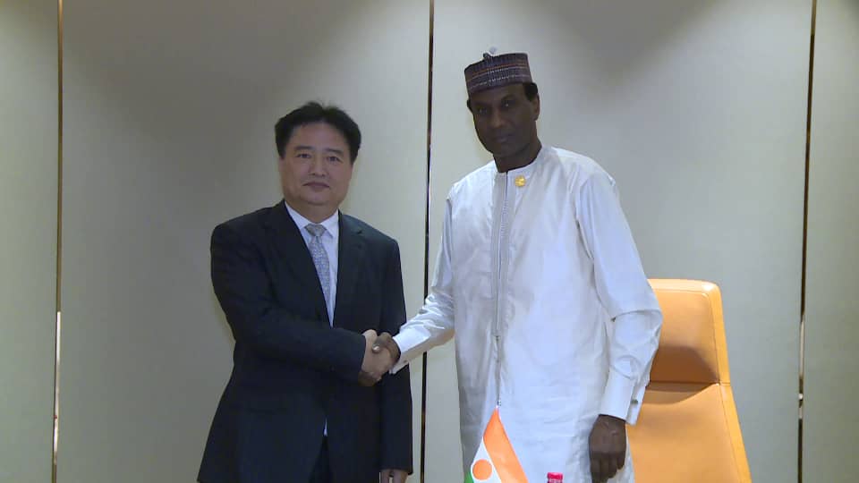 公司领导会晤尼日尔总统